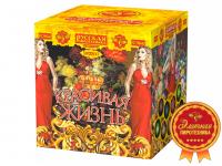 Красивая жизнь Фейерверк купить в Старице | starica.salutsklad.ru