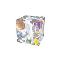 Новогодняя ночь Салют купить в Старице | starica.salutsklad.ru