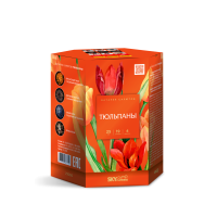Тюльпаны Салют купить в Старице | starica.salutsklad.ru