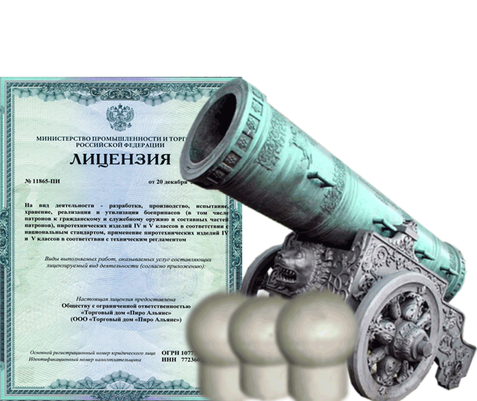 Заказать фейерверк на Новый Год - салют в Старице