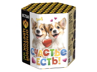 Счастье есть! Салют купить в Старице | starica.salutsklad.ru