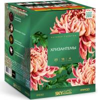 Хризантемы Фейерверк купить в Старице | starica.salutsklad.ru