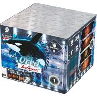 Косатка Фейерверк купить в Старице | starica.salutsklad.ru