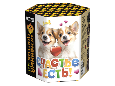 Счастье есть! Салют купить в Старице | starica.salutsklad.ru