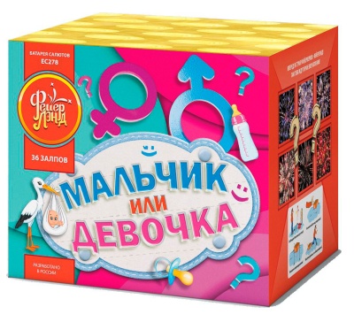 Мальчик или девочка М Фейерверк купить в Старице | starica.salutsklad.ru